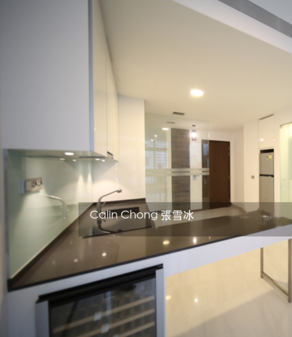 The Scotts Tower (D9), Condominium #203564211